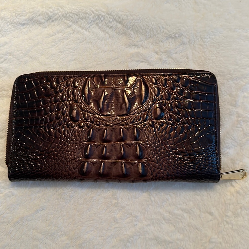 Brahmin Skyler